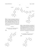 PHTHALAZINONES AND ISOQUINOLINONES AS ROCK INHIBITORS diagram and image