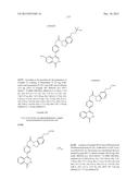 PHTHALAZINONES AND ISOQUINOLINONES AS ROCK INHIBITORS diagram and image