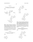 PHTHALAZINONES AND ISOQUINOLINONES AS ROCK INHIBITORS diagram and image