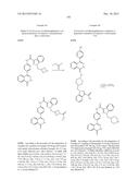 PHTHALAZINONES AND ISOQUINOLINONES AS ROCK INHIBITORS diagram and image