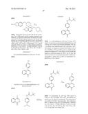 PHTHALAZINONES AND ISOQUINOLINONES AS ROCK INHIBITORS diagram and image