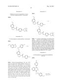 PHTHALAZINONES AND ISOQUINOLINONES AS ROCK INHIBITORS diagram and image