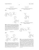 PHTHALAZINONES AND ISOQUINOLINONES AS ROCK INHIBITORS diagram and image