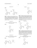 PHTHALAZINONES AND ISOQUINOLINONES AS ROCK INHIBITORS diagram and image