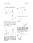 PHTHALAZINONES AND ISOQUINOLINONES AS ROCK INHIBITORS diagram and image