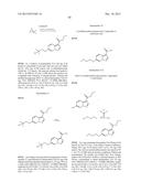 PHTHALAZINONES AND ISOQUINOLINONES AS ROCK INHIBITORS diagram and image