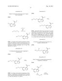 PHTHALAZINONES AND ISOQUINOLINONES AS ROCK INHIBITORS diagram and image