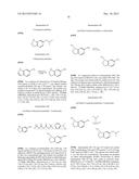 PHTHALAZINONES AND ISOQUINOLINONES AS ROCK INHIBITORS diagram and image