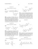 PHTHALAZINONES AND ISOQUINOLINONES AS ROCK INHIBITORS diagram and image