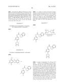 PHTHALAZINONES AND ISOQUINOLINONES AS ROCK INHIBITORS diagram and image