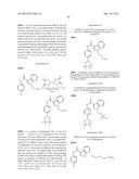 PHTHALAZINONES AND ISOQUINOLINONES AS ROCK INHIBITORS diagram and image