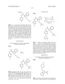 PHTHALAZINONES AND ISOQUINOLINONES AS ROCK INHIBITORS diagram and image