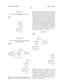 PHTHALAZINONES AND ISOQUINOLINONES AS ROCK INHIBITORS diagram and image