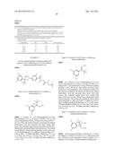 PYRAZOLINE DERIVATIVES AS INSECTICIDAL COMPOUNDS diagram and image