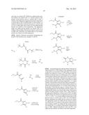 PYRAZOLO[3,4-D]PYRIMIDINONE COMPOUNDS AS INHIBITORS OF THE P53/MDM2     INTERACTION diagram and image