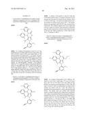 PYRAZOLO[3,4-D]PYRIMIDINONE COMPOUNDS AS INHIBITORS OF THE P53/MDM2     INTERACTION diagram and image