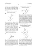 PYRAZOLO[3,4-D]PYRIMIDINONE COMPOUNDS AS INHIBITORS OF THE P53/MDM2     INTERACTION diagram and image