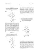 PYRAZOLO[3,4-D]PYRIMIDINONE COMPOUNDS AS INHIBITORS OF THE P53/MDM2     INTERACTION diagram and image