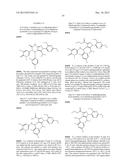 PYRAZOLO[3,4-D]PYRIMIDINONE COMPOUNDS AS INHIBITORS OF THE P53/MDM2     INTERACTION diagram and image