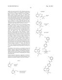 BTK INHIBITORS diagram and image