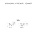 1,3-BENZOTHIAZINONE SULFOXIDE AND SULFONE COMPOUNDS diagram and image