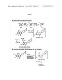 1,3-BENZOTHIAZINONE, SULFOXIDE, AND SULFONE COMPOUNDS WITH ELECTROPHILIC     SUBSTITUENT diagram and image