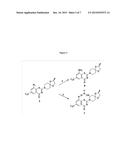 1,3-BENZOTHIAZINONE, SULFOXIDE, AND SULFONE COMPOUNDS WITH ELECTROPHILIC     SUBSTITUENT diagram and image