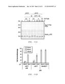 Intein Mediated Purification of Protein diagram and image