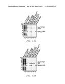 Intein Mediated Purification of Protein diagram and image