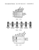 Intein Mediated Purification of Protein diagram and image