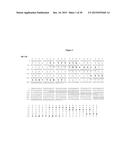 HUMAN MONOCLONAL ANTIBODIES TO GANGLIOSIDE GD2 diagram and image