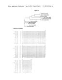 HUMAN MONOCLONAL ANTIBODIES TO GANGLIOSIDE GD2 diagram and image