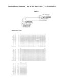 HUMAN MONOCLONAL ANTIBODIES TO GANGLIOSIDE GD2 diagram and image