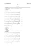 HUMAN MONOCLONAL ANTIBODIES TO GANGLIOSIDE GD2 diagram and image