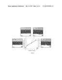 Rapid Fabrication of Hierarchically Structured Supramolecular     Nanocomposite Thin Films in One Minute diagram and image