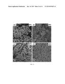 Rapid Fabrication of Hierarchically Structured Supramolecular     Nanocomposite Thin Films in One Minute diagram and image