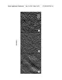 Polylactide/Silicon-Containing Block Copolymers for Nanolithography diagram and image