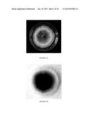 Microorganisms for Producing Volatile Organic Compounds diagram and image