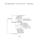 Microorganisms for Producing Volatile Organic Compounds diagram and image