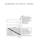 Microorganisms for Producing Volatile Organic Compounds diagram and image