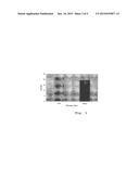 CALCIUM REDUCING AGENTS AND METHODS diagram and image