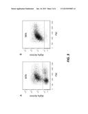 METHOD FOR DIFFERENTIATION OF PLURIPOTENT STEM CELLS INTO CARDIOMYOCYTES diagram and image