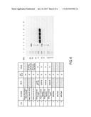 METHODS FOR PURIFICATION OF ARYSULFATASE A diagram and image