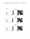 Method for Identifying RNA Segments Bound by RNA-Binding Proteins or     Ribonucleoprotein Complexes diagram and image