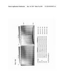 Method for Identifying RNA Segments Bound by RNA-Binding Proteins or     Ribonucleoprotein Complexes diagram and image