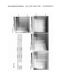 Method for Identifying RNA Segments Bound by RNA-Binding Proteins or     Ribonucleoprotein Complexes diagram and image