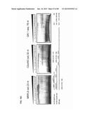 Method for Identifying RNA Segments Bound by RNA-Binding Proteins or     Ribonucleoprotein Complexes diagram and image