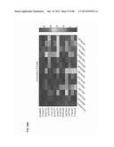 Method for Identifying RNA Segments Bound by RNA-Binding Proteins or     Ribonucleoprotein Complexes diagram and image