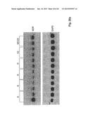 Compositions and Methods for Inhibiting Expression of a Target Gene diagram and image