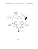 VECTORS FOR USE IN AN INDUCIBLE COEXPRESSION SYSTEM diagram and image